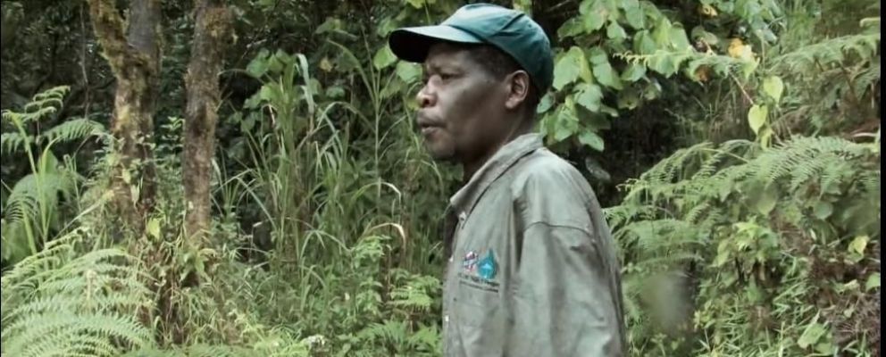 Crítica de "Anunciaron tormenta", si la historia la escriben los que ganan hay otra historia
