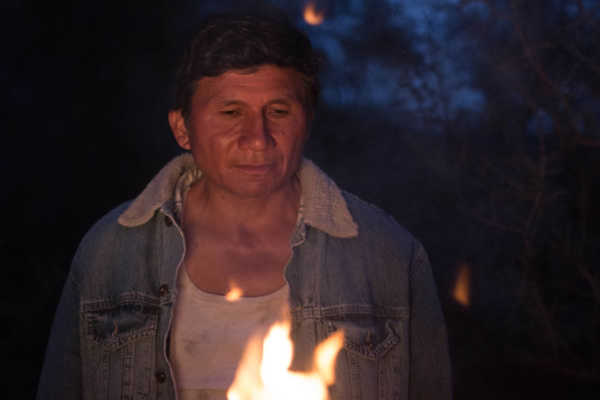 Crítica de “Bajo la corteza”, Martín Heredia Troncoso  y la problemática de los incendios forestales 