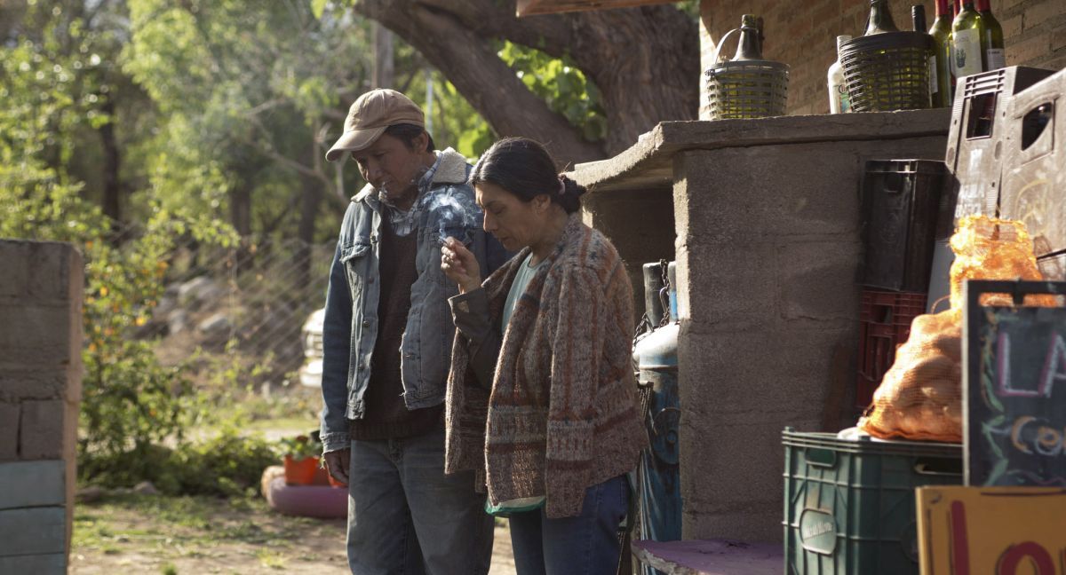 Crítica de “Bajo la corteza”, Martín Heredia Troncoso  y la problemática de los incendios forestales 