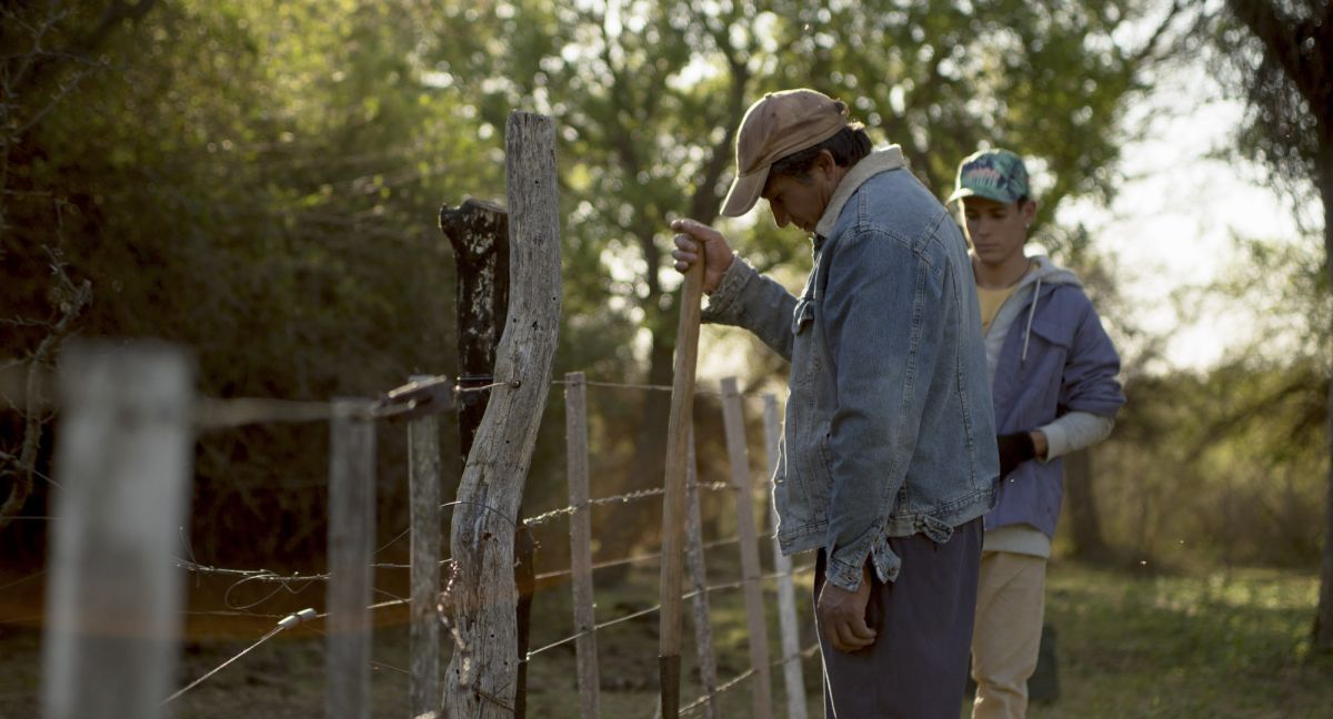 Crítica de “Bajo la corteza”, Martín Heredia Troncoso  y la problemática de los incendios forestales 