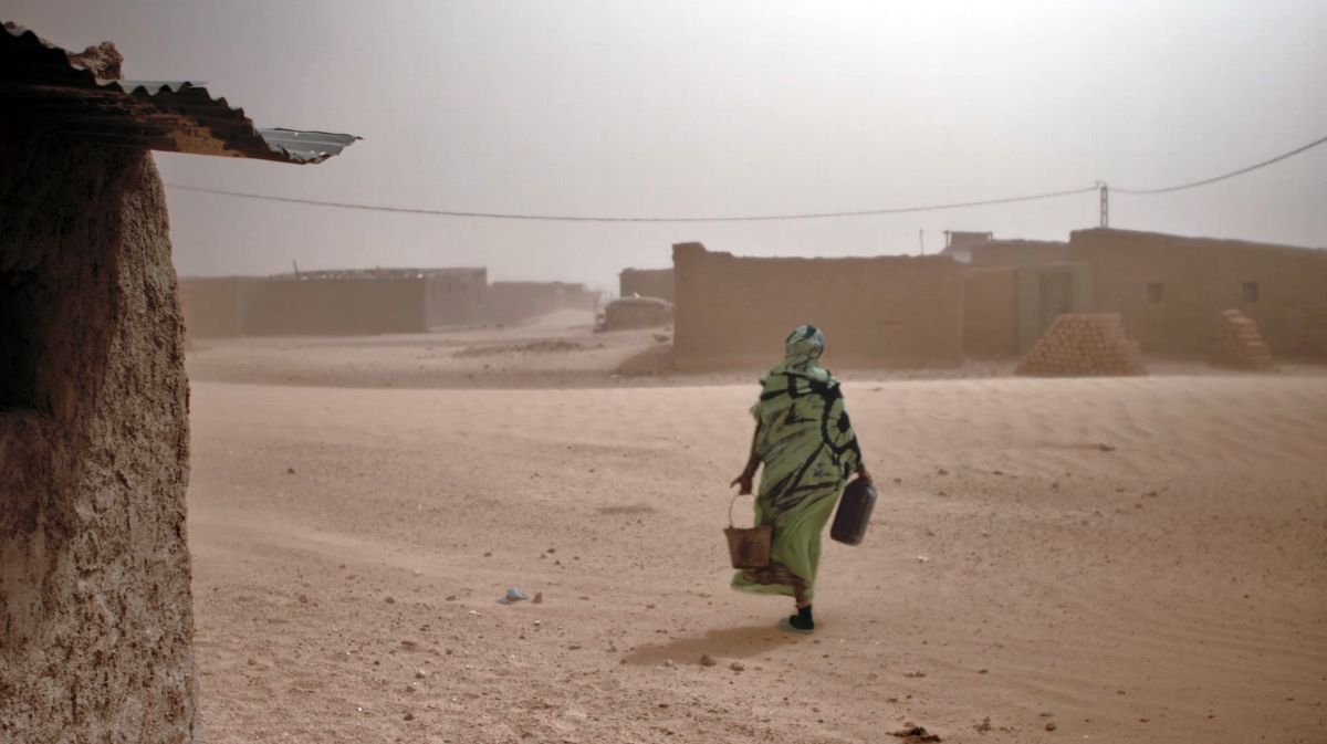 Toda la programación del 2° FECIMU,  Festival Internacional de Cine y Multimedia 2022