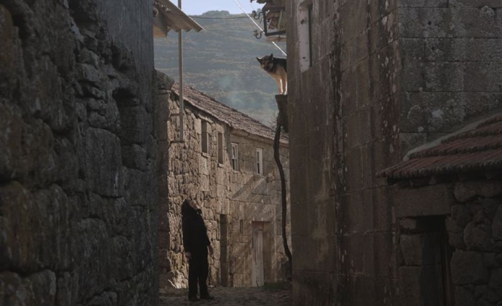 Toda la programación de la 9 Semana de Cine Portugués