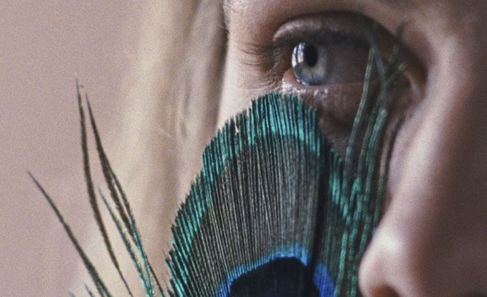 Toda la programación de la 9 Semana de Cine Portugués