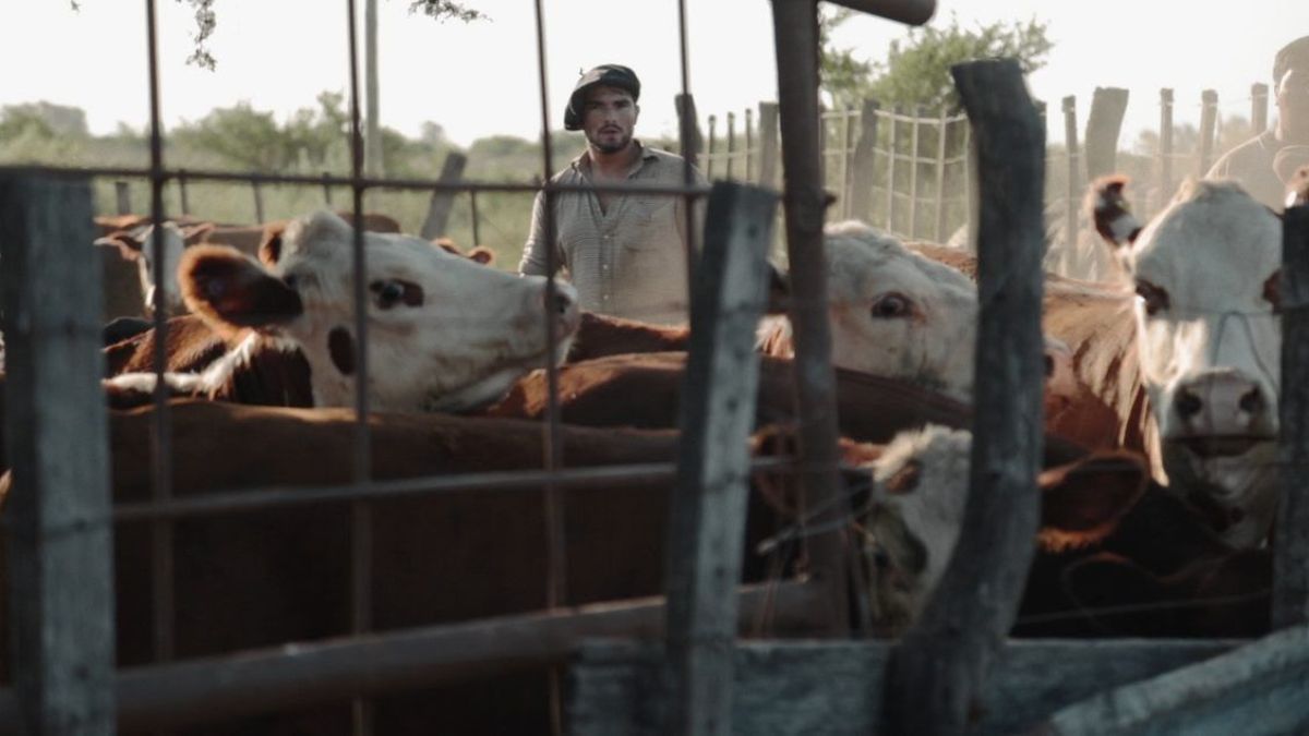 Crítica de “El Fulgor”, Martín Farina retrata los cuerpos masculinos del carnaval